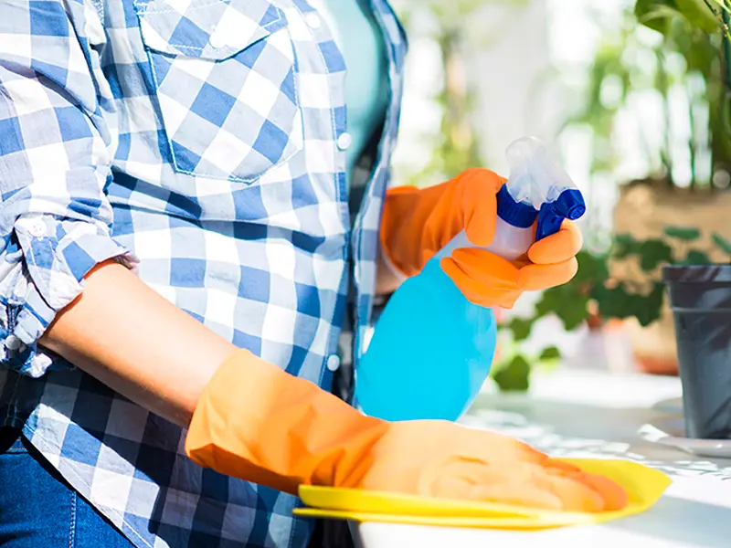 Gallery Thumbnail 12